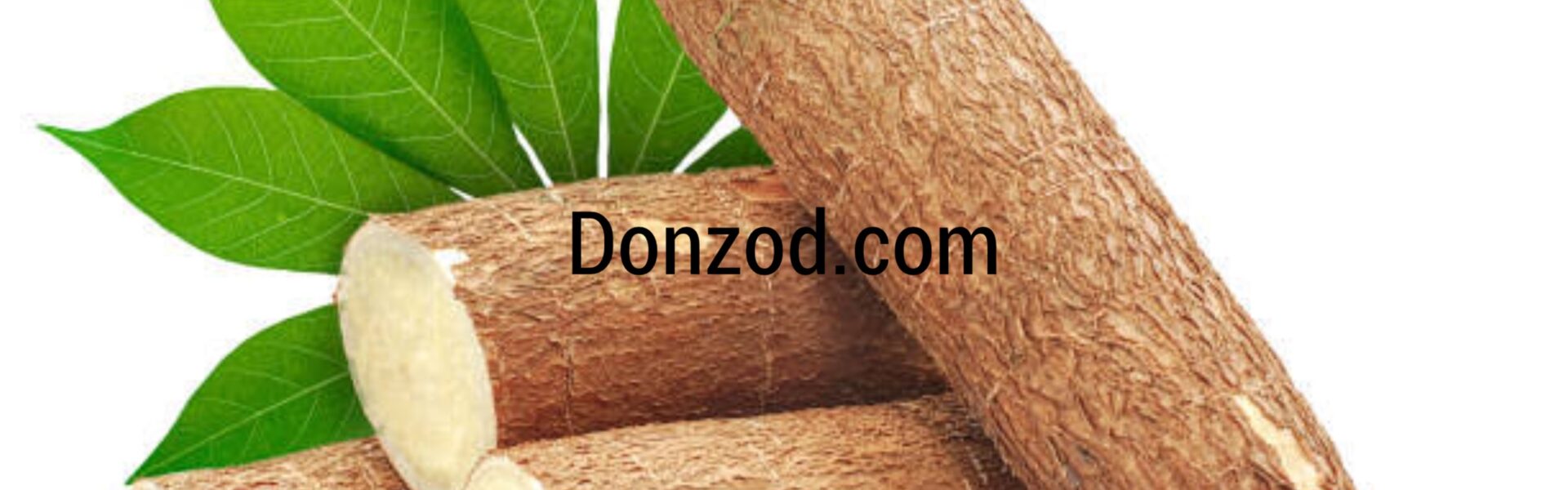 Cassava