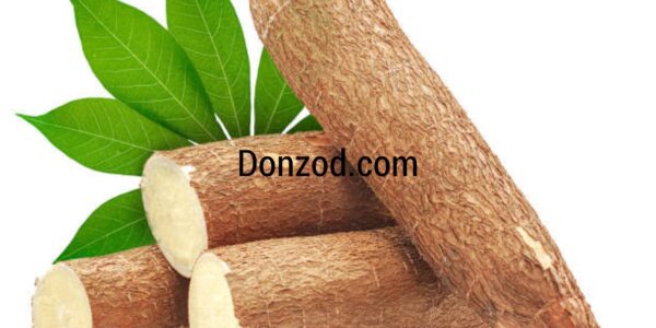 Cassava