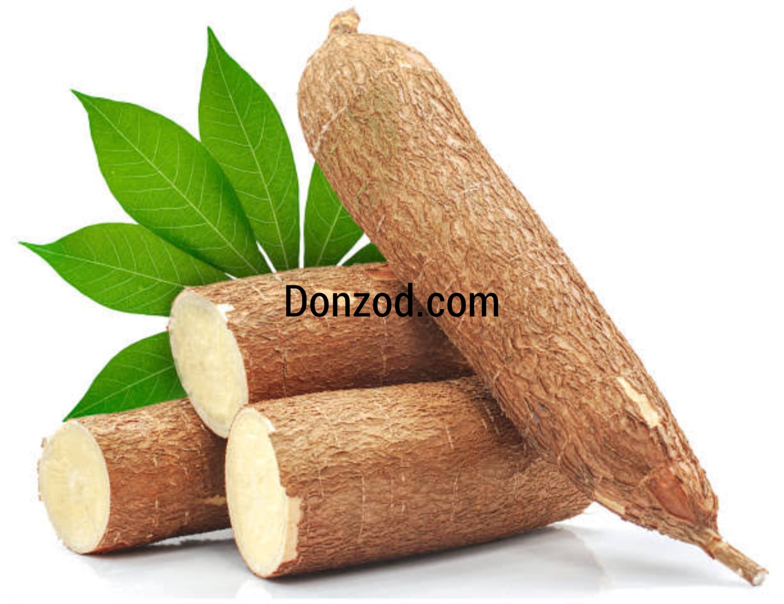 Cassava