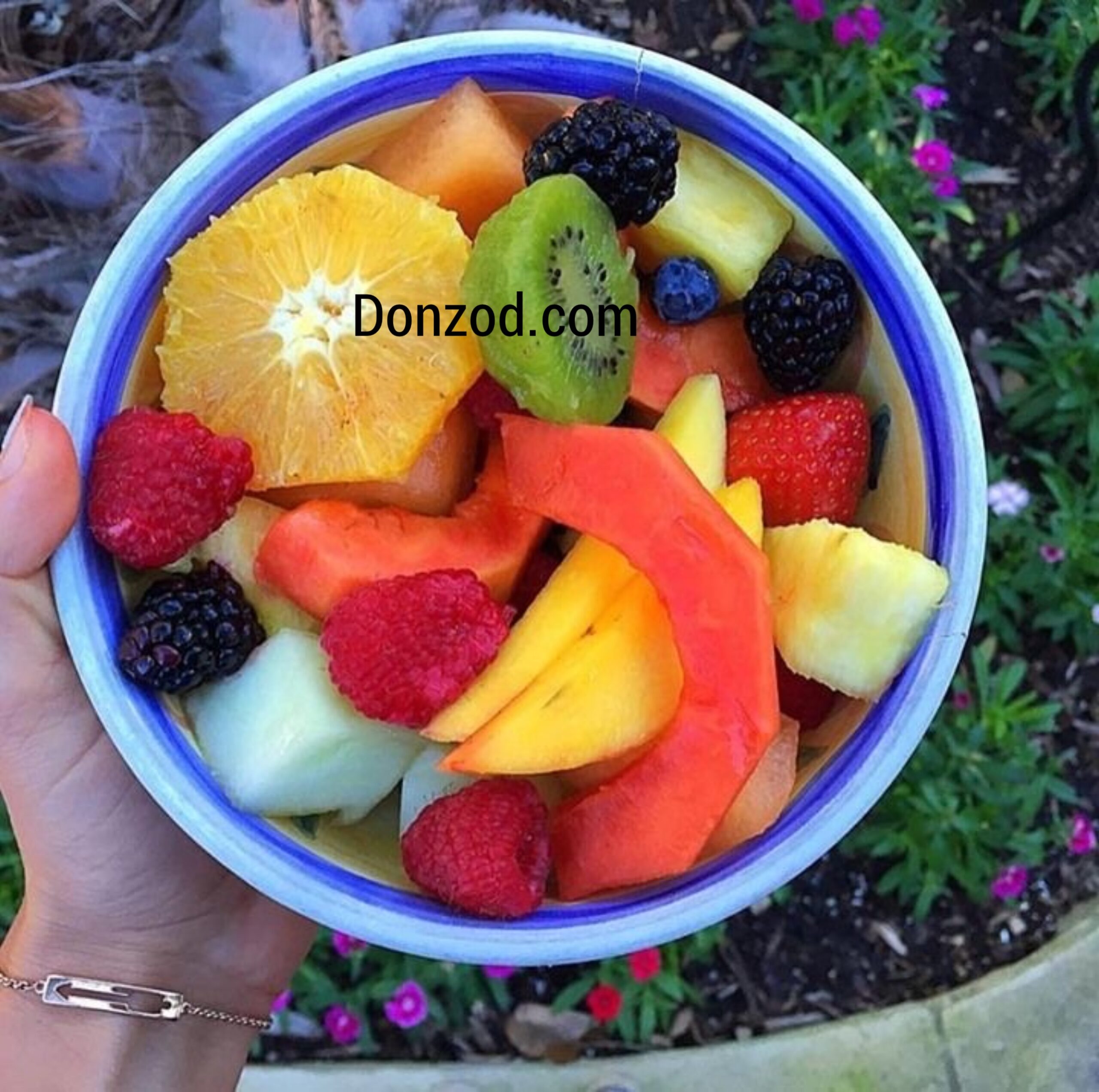 Fruit